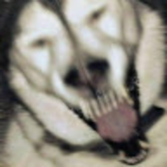 lilvrog